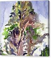Glendalough Tree Canvas Print
