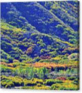 Glenwood Springs Fall Colors On Display Canvas Print
