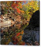 Glorious Connecticut Fall Foliage Canvas Print