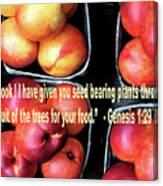 God Gives Fruit For Food Canvas Print
