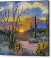 God's Day - Sonoran Desert Canvas Print