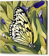 Gold Butterfly In Branson Canvas Print