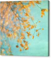 Gold Canvas Print