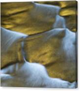 Gold Scales Canvas Print