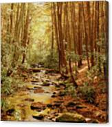 Golden Creek Canvas Print