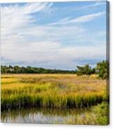 Golden Green Marsh Under Blue Skies Canvas Print