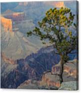 Golden Hour At Pima Point Canvas Print
