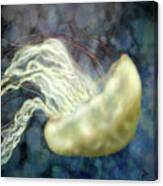 Golden Light Jellyfish Canvas Print