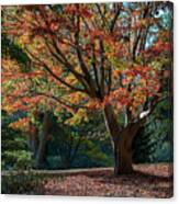 Golden Red And Orange Canvas Print