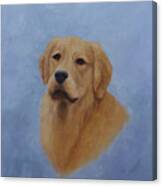 Golden Retriever Portrait Canvas Print