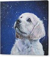 Golden Retriever Pup In Snow Canvas Print