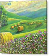 Golden Splendor In The Hay Field Canvas Print