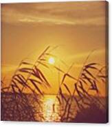 Golden #sunset #enlight #msgulfcoast Canvas Print