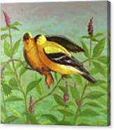 Goldfinch Love Canvas Print