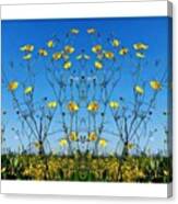 Good Morning! Having Fun With Flowers Canvas Print