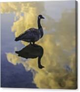 Goose Silhouette 2 Canvas Print
