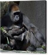 Gorilla Mother Baby Contentment Canvas Print