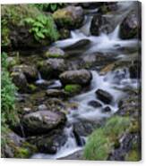 Goritsa Waterfalls-rapids 2181 Canvas Print