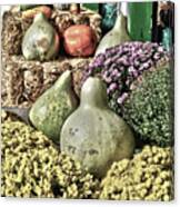 Gourds On Display 2 Canvas Print