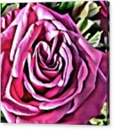 Gracious Rose Canvas Print