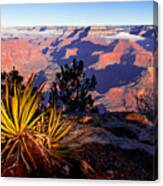 Grand Canyon 31 Canvas Print