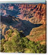 Grand Canyon And Colorado River 7r2_dsc2022_08152017 Canvas Print