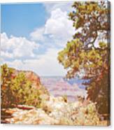 Grand Canyon View With Pine Tree Canvas Print