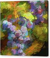 Grapes In Abstract Canvas Print