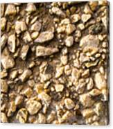 Gravel Stones On A Wall Canvas Print
