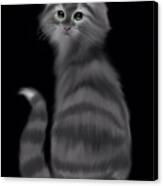 Gray Striped Cat Canvas Print
