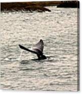 Gray Whale Tail Canvas Print