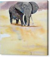 Great African Elephant Canvas Print
