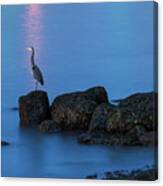 Great Blue Heron At English Bay Canvas Print