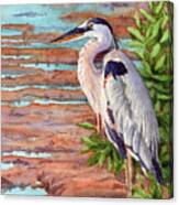 Great Blue Heron In A Marsh Canvas Print