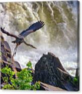 Great Blue Heron In Flight Canvas Print