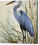 Great Blue Heron Shore Canvas Print