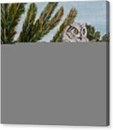 Great Horned Owl - Owl On The Rocks Canvas Print
