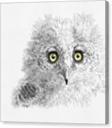 Great Horned Owlet Canvas Print
