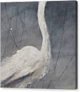 Great White Heron Original Art Canvas Print