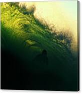 Green And Black Canvas Print
