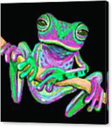 Green And Pink Frog Canvas Print