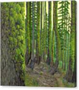 Green As A Forest Canvas Print