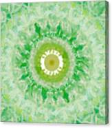 Green Mandala- Abstract Art By Linda Woods Canvas Print