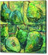 Green Pears Canvas Print