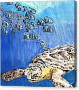 Green Sea Turtle Canvas Print