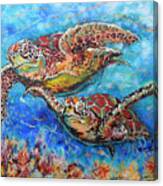 Green Sea Turtles Canvas Print