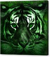 Green Tiger Canvas Print