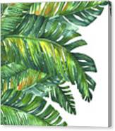 Green Tropic Canvas Print