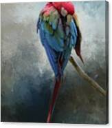 Green-winged Macaw Canvas Print