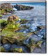 Greenery In Coral Cove Canvas Print